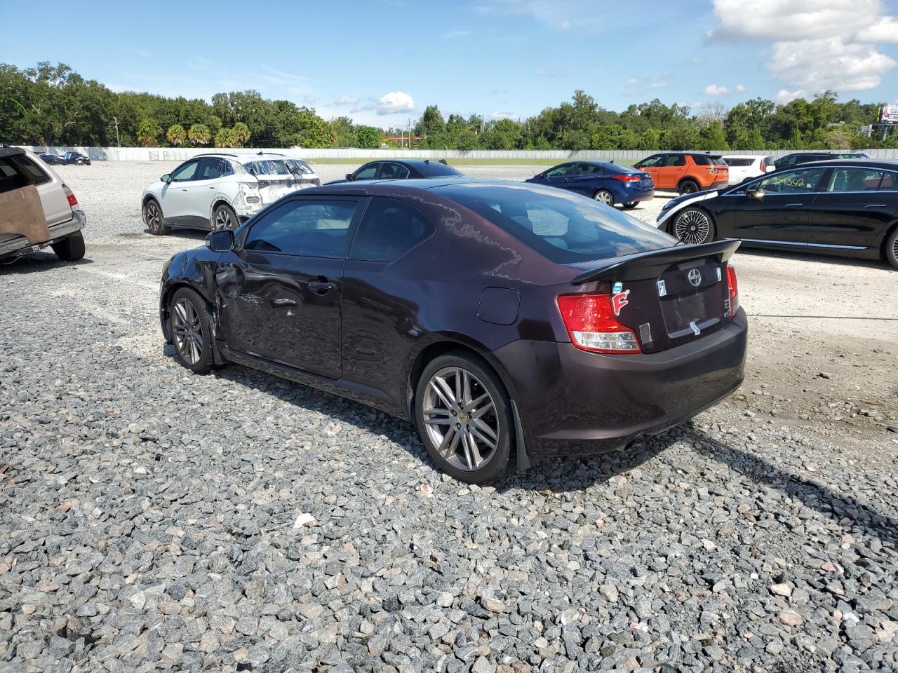 2011 Toyota Scion Tc Burgundy vin: JTKJF5C77B3007806