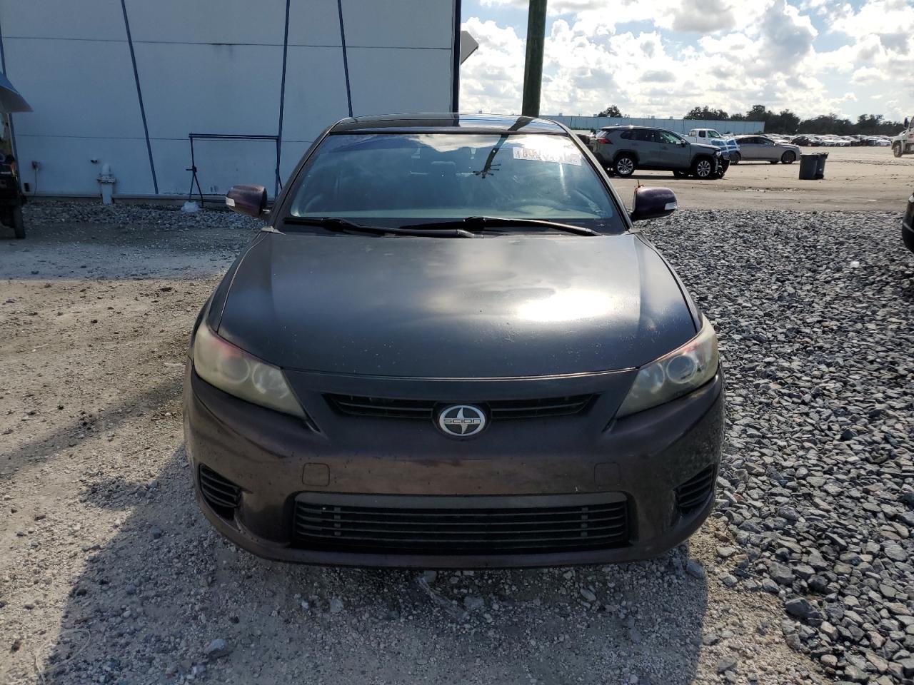 2011 Toyota Scion Tc Burgundy vin: JTKJF5C77B3007806