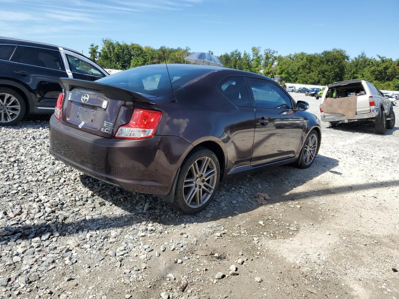 2011 Toyota Scion Tc Burgundy vin: JTKJF5C77B3007806