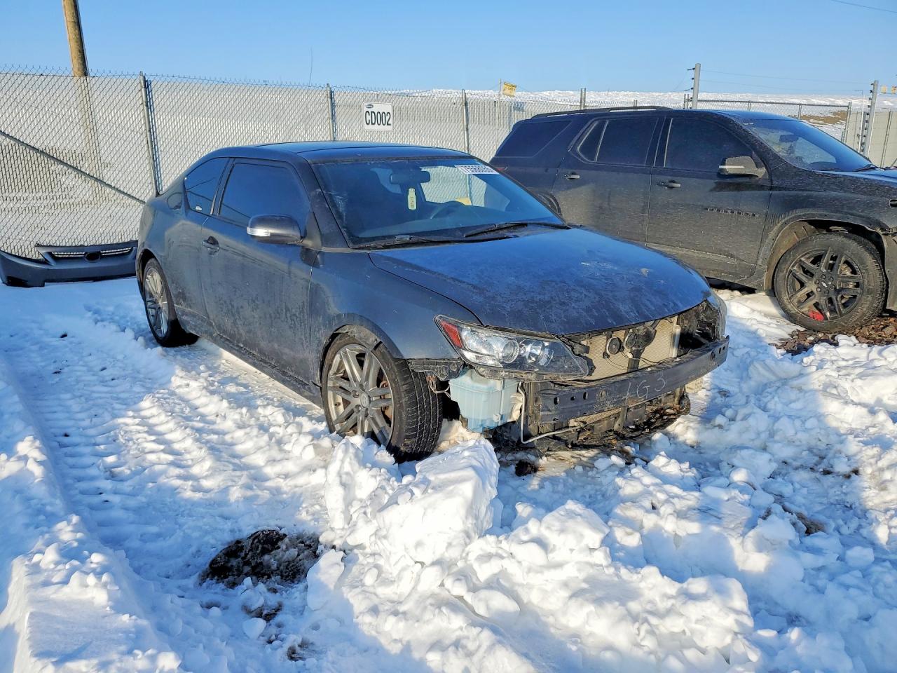 2011 Toyota Scion Tc Gray vin: JTKJF5C78B3004946
