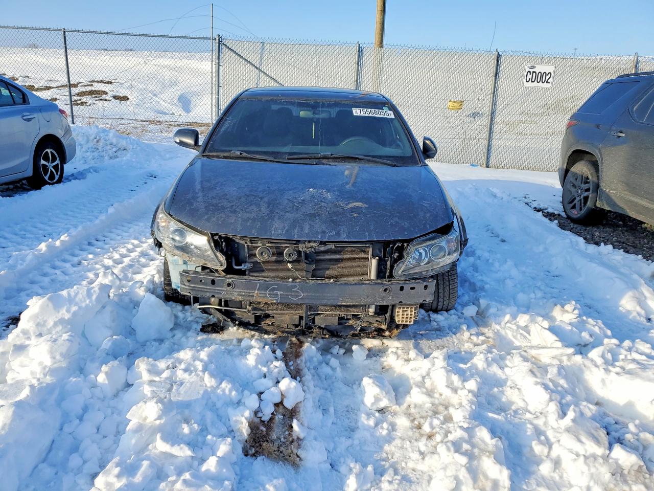2011 Toyota Scion Tc Gray vin: JTKJF5C78B3004946
