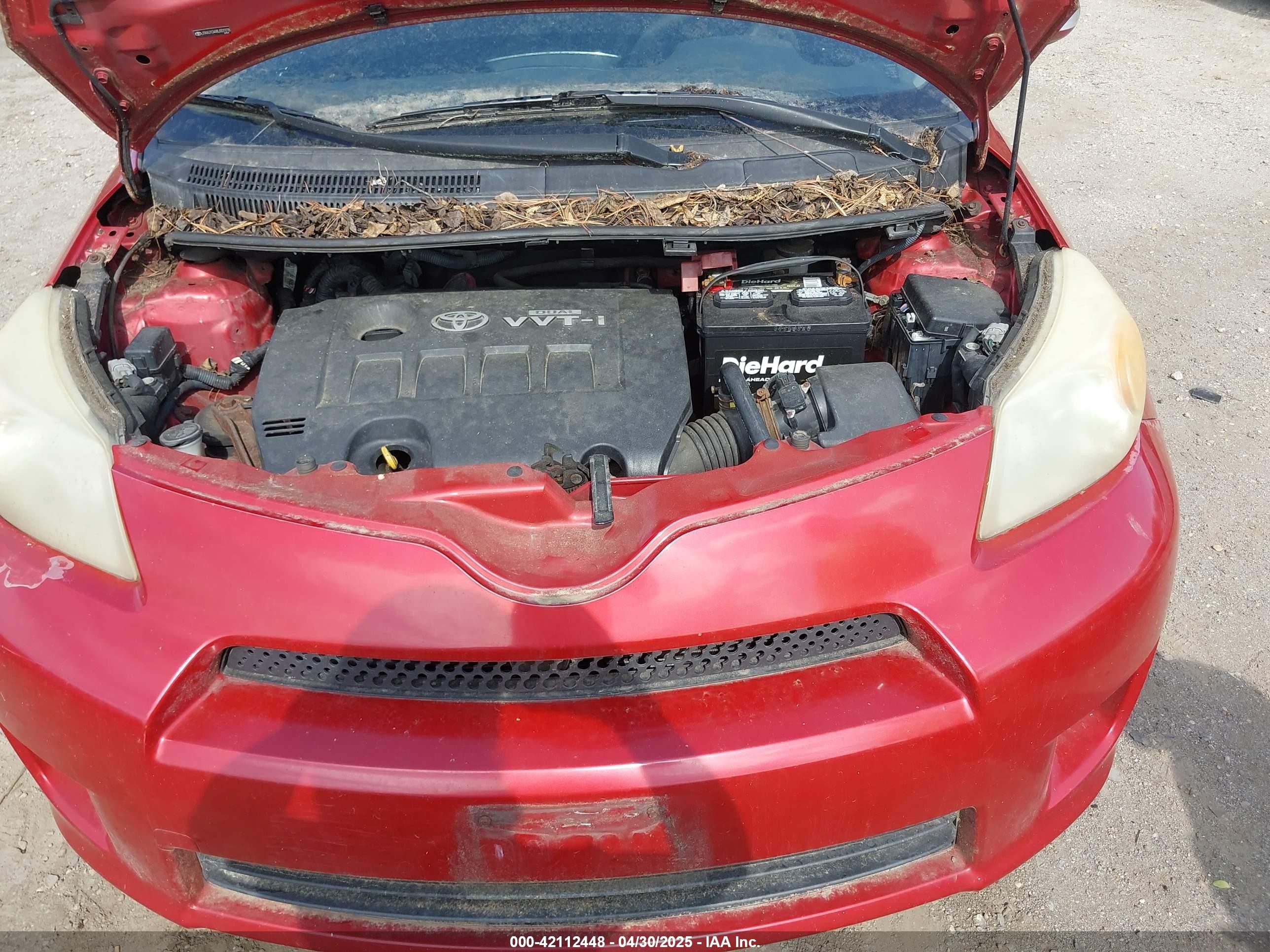 2008 Scion Xd   Red vin: JTKKU10448J001978
