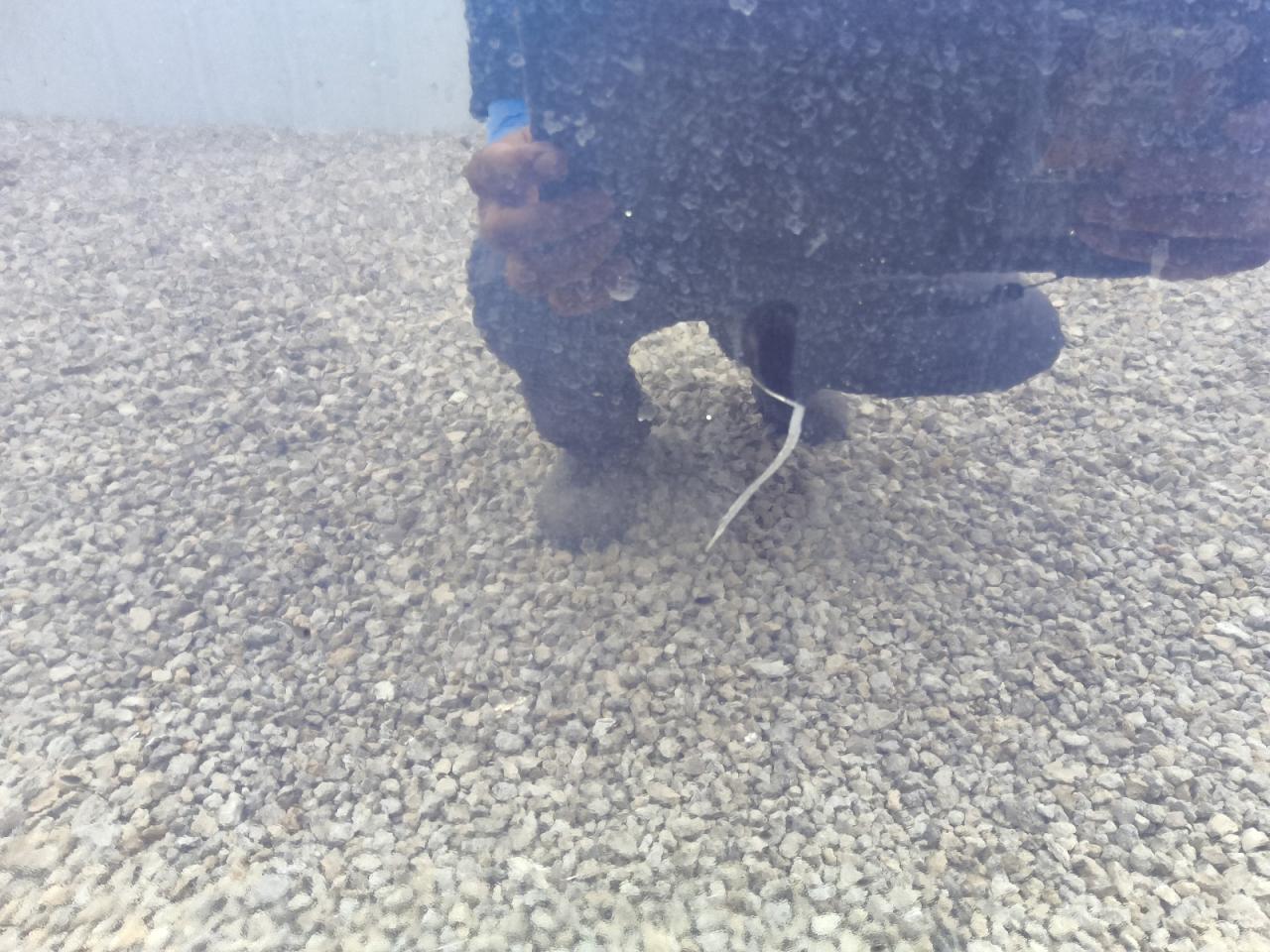 2008 Toyota Scion Xb Blue vin: JTLKE50E081029107 Damage: Left Front Door, Light Scratch, 2 To 3 Inches