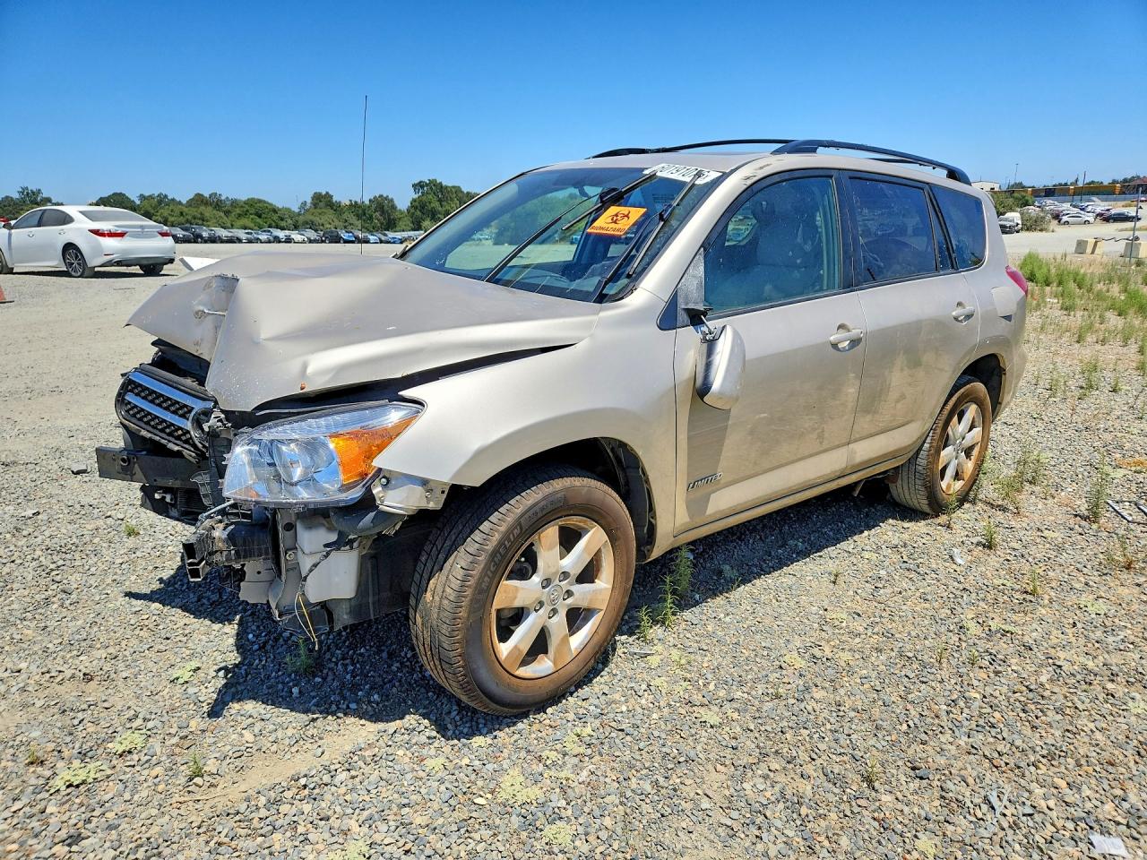 2007 Toyota Rav4 Limited Gold vin: JTMBD31V175065851
