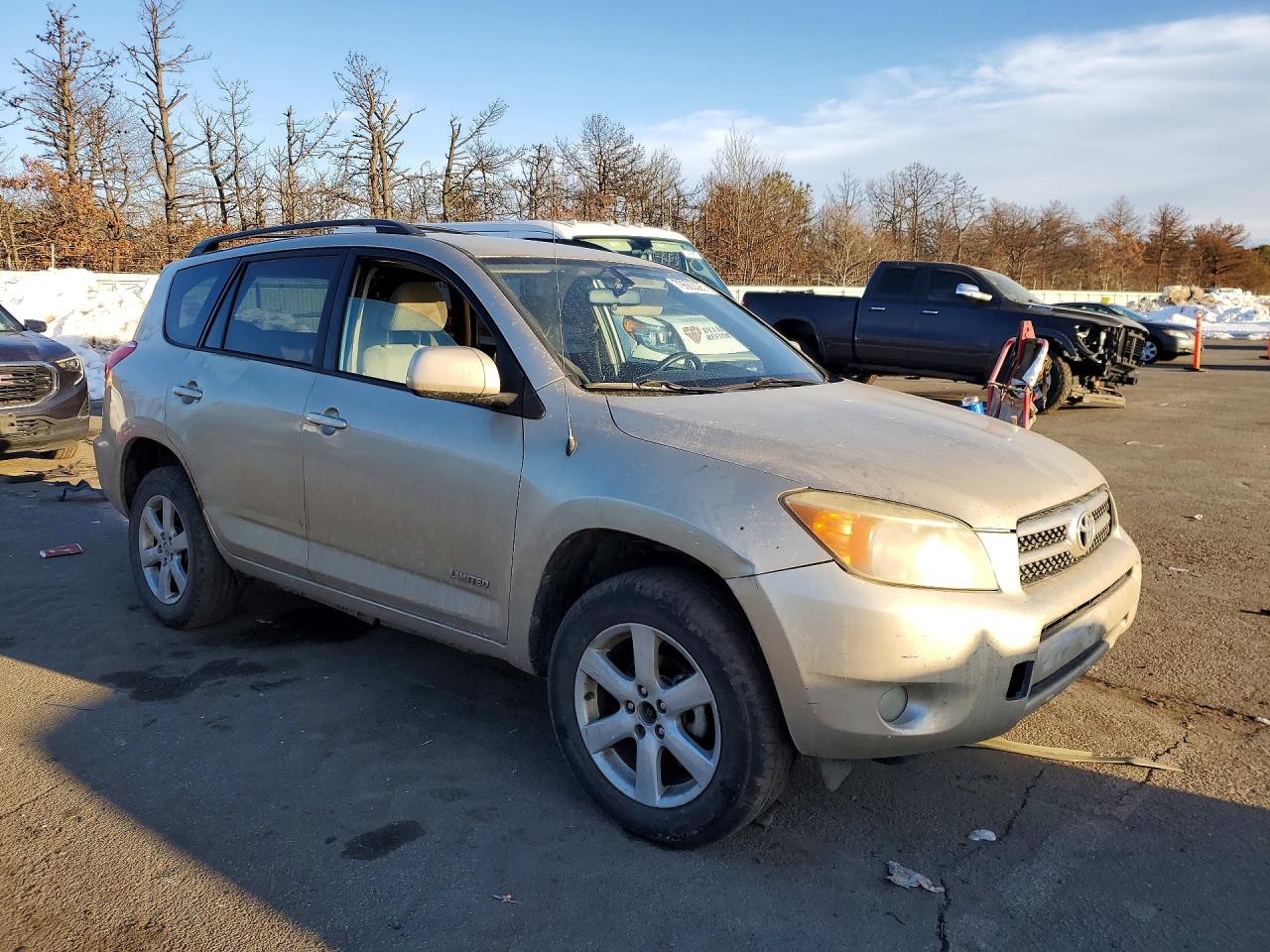 2008 Toyota Rav4 Tan vin: JTMBD31V786056986