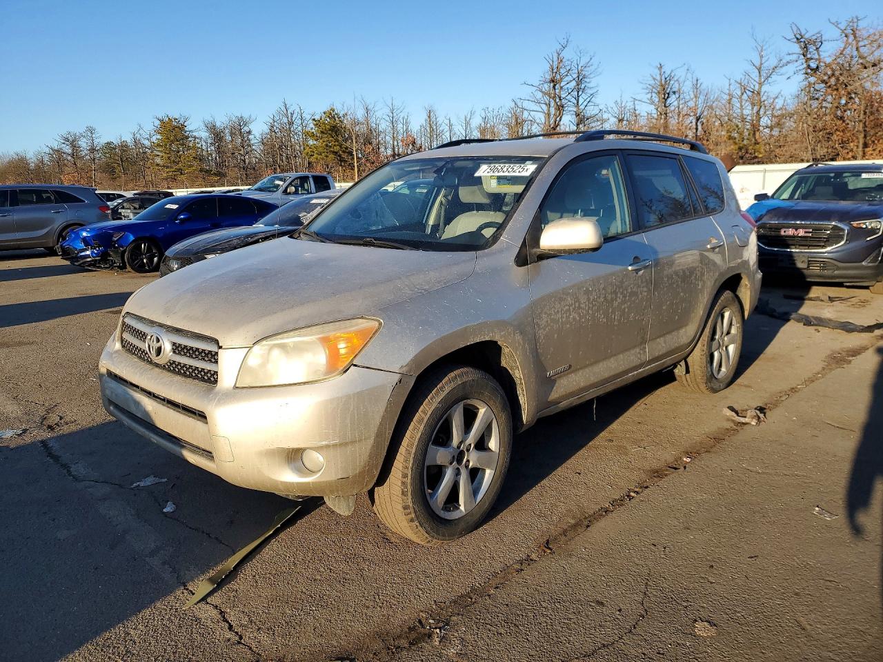 2008 Toyota Rav4 Tan vin: JTMBD31V786056986