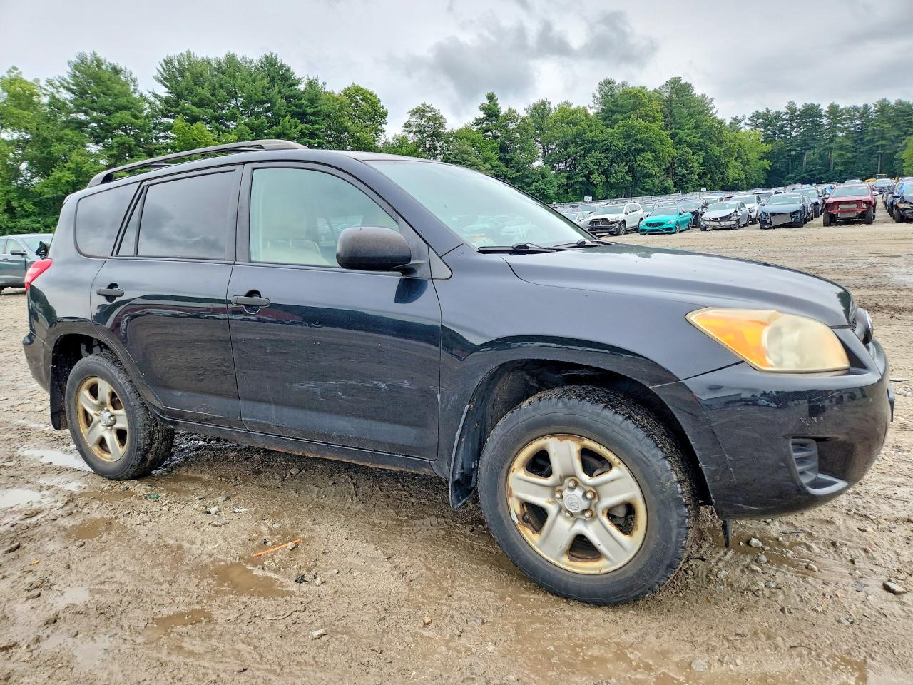2009 Toyota Rav4 Base Black vin: JTMBF33V39D011774