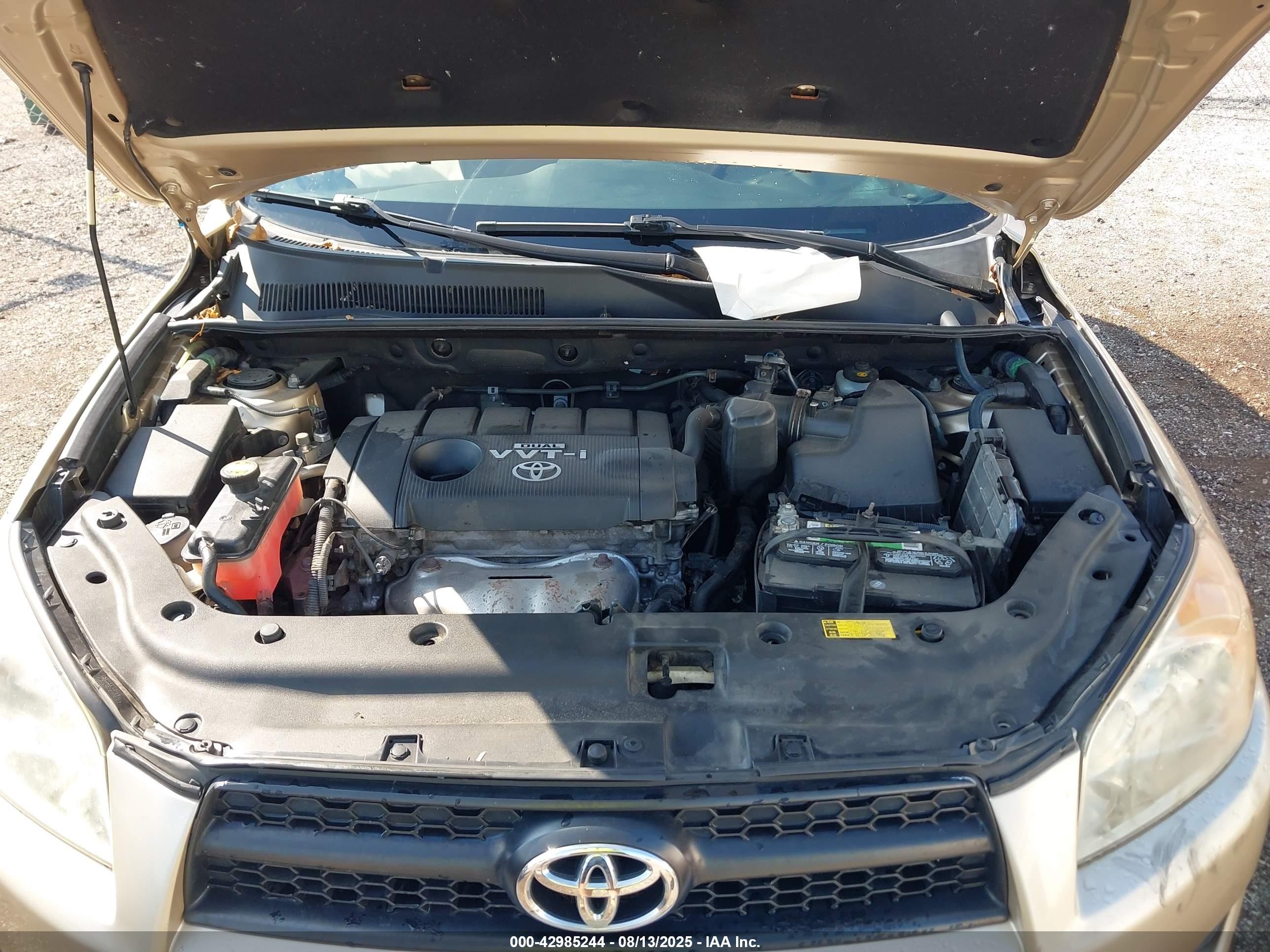 2009 Toyota Rav4   Tan vin: JTMBF33V495003242