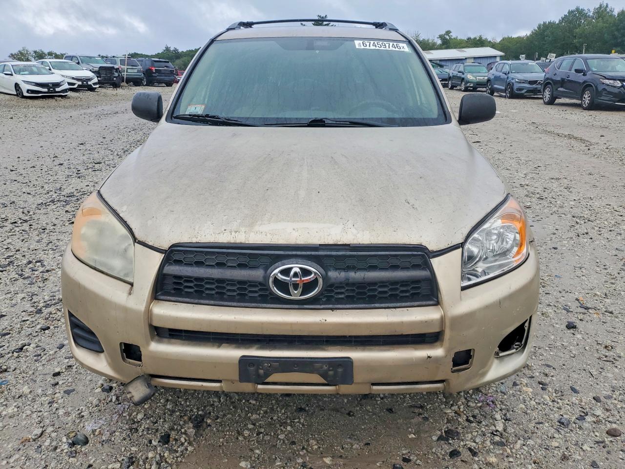 2009 Toyota Rav4 Base Желто-коричневый vin: JTMBF33V495013575