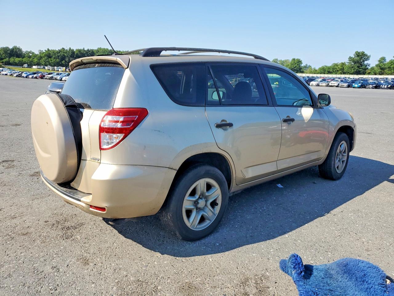 2009 Toyota Rav4 Base Желто-коричневый vin: JTMBF33V79D017478
