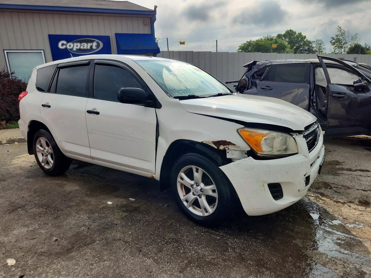 2009 Toyota Rav4 Base Белый vin: JTMBF33VX9D002439