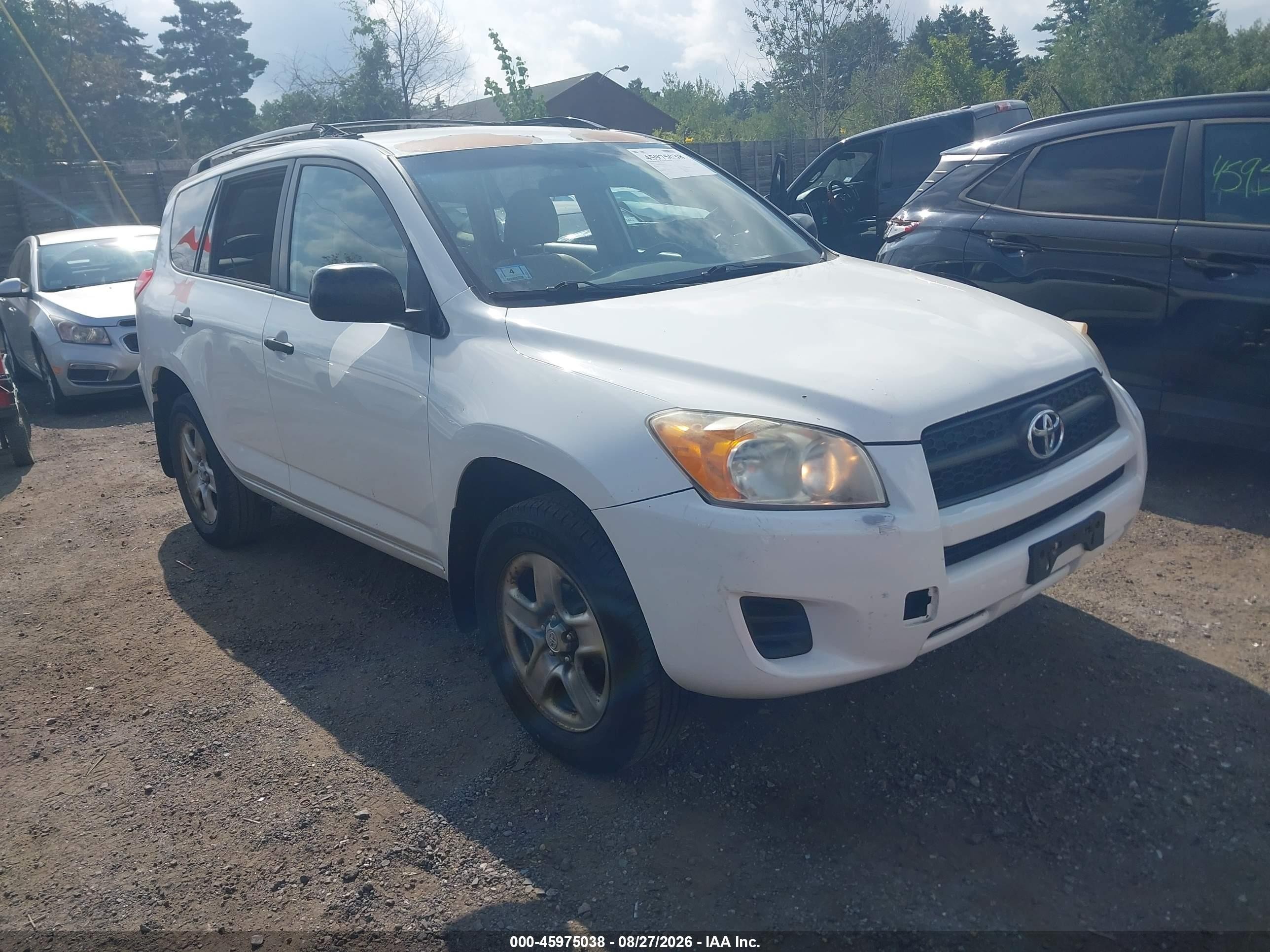 2010 Toyota Rav4   White vin: JTMBF4DV6A5021251