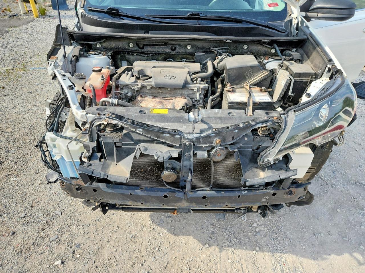 2014 Toyota Rav4 Le Белый vin: JTMBFREV3ED075176