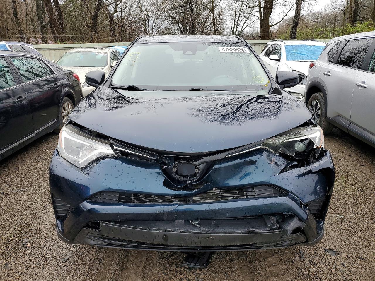 2018 Toyota Rav4 Le Blue vin: JTMBFREV4JJ219846