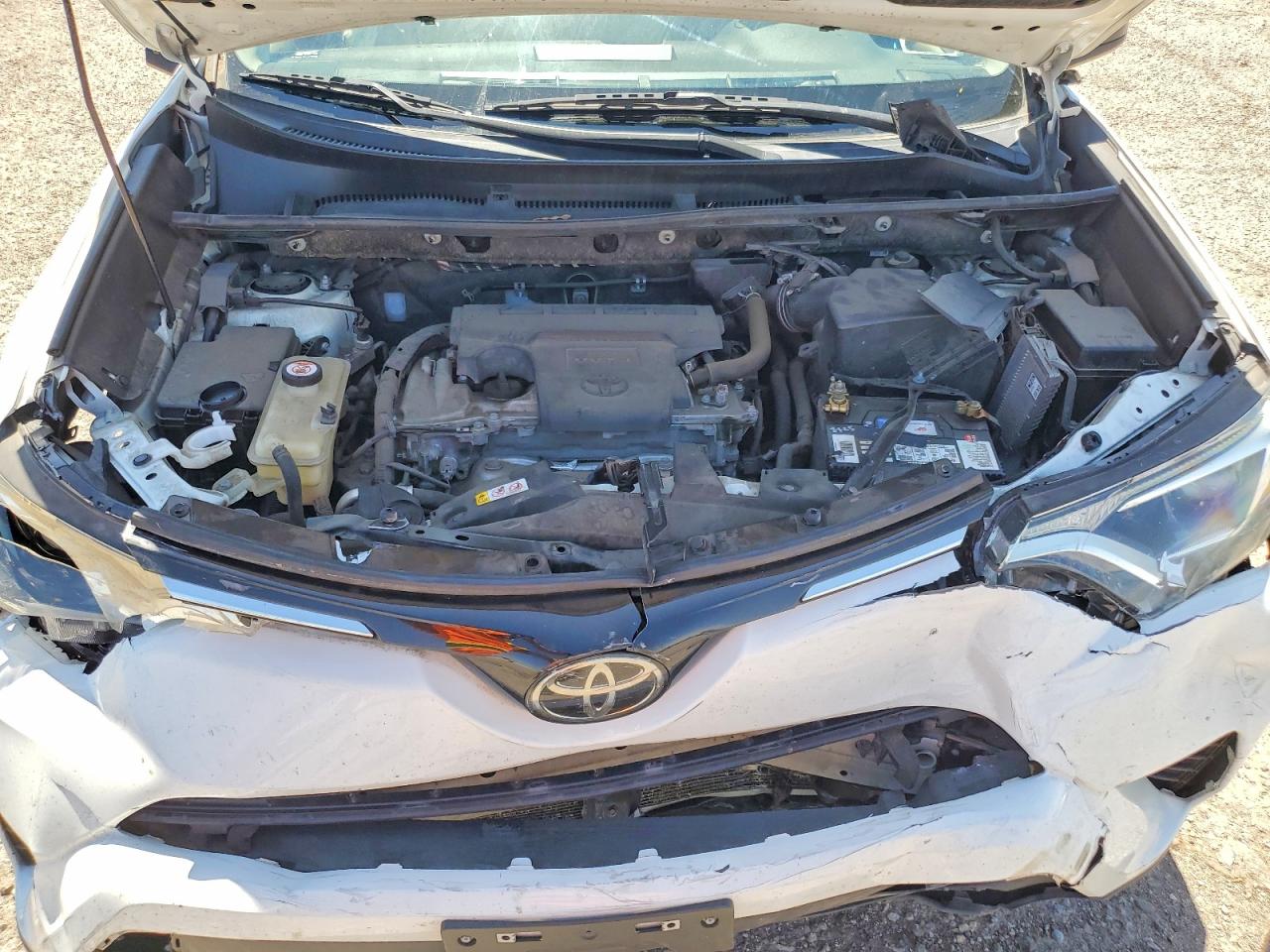 2018 Toyota Rav4 Le Белый vin: JTMBFREV4JJ740470