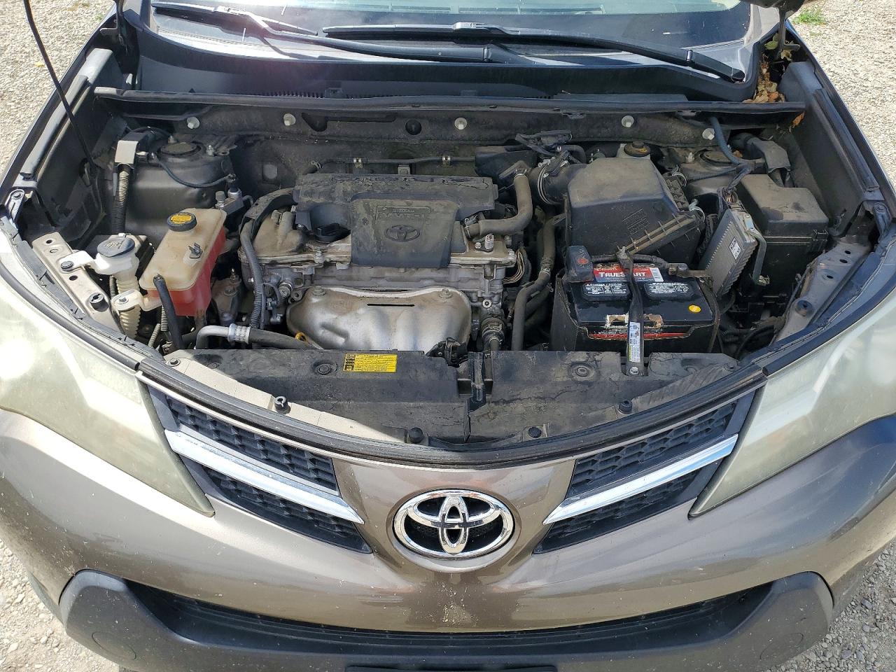 2014 Toyota Rav4 Le Gray vin: JTMBFREV8ED059801