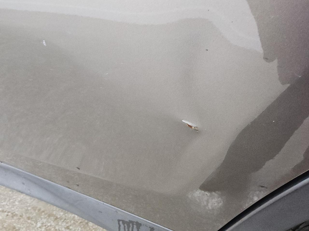 2015 Toyota Rav4 Le Beige vin: JTMBFREV8FD151301 Damage: Left Rear Door, Dent(S) W/ Paint Dmg, > 12 Inches