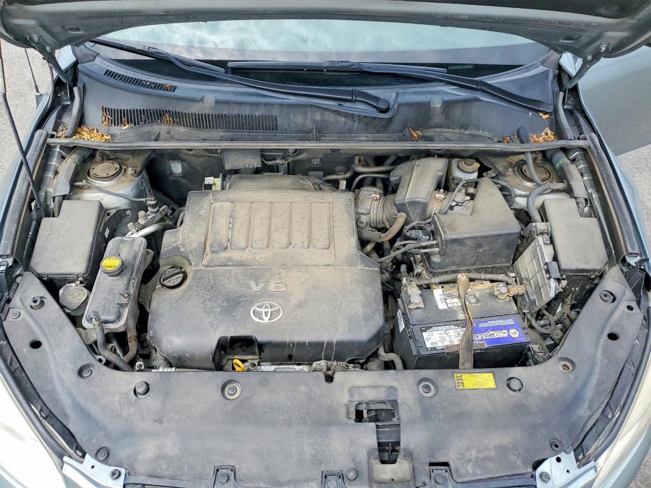 2006 Toyota Rav4 Limited Green vin: JTMBK31V565012445