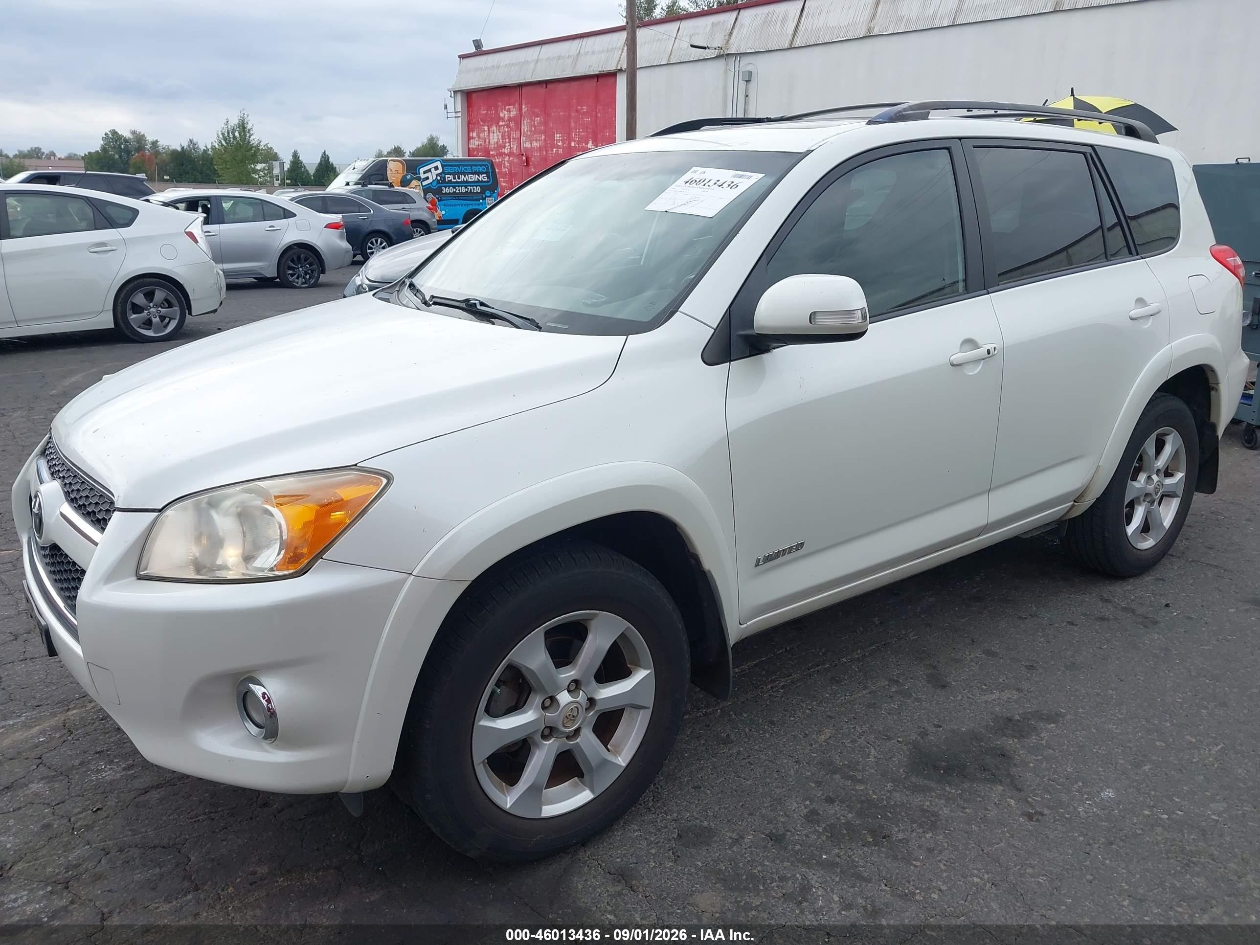 2009 Toyota Rav4 Limited V6 White vin: JTMBK31V895073695