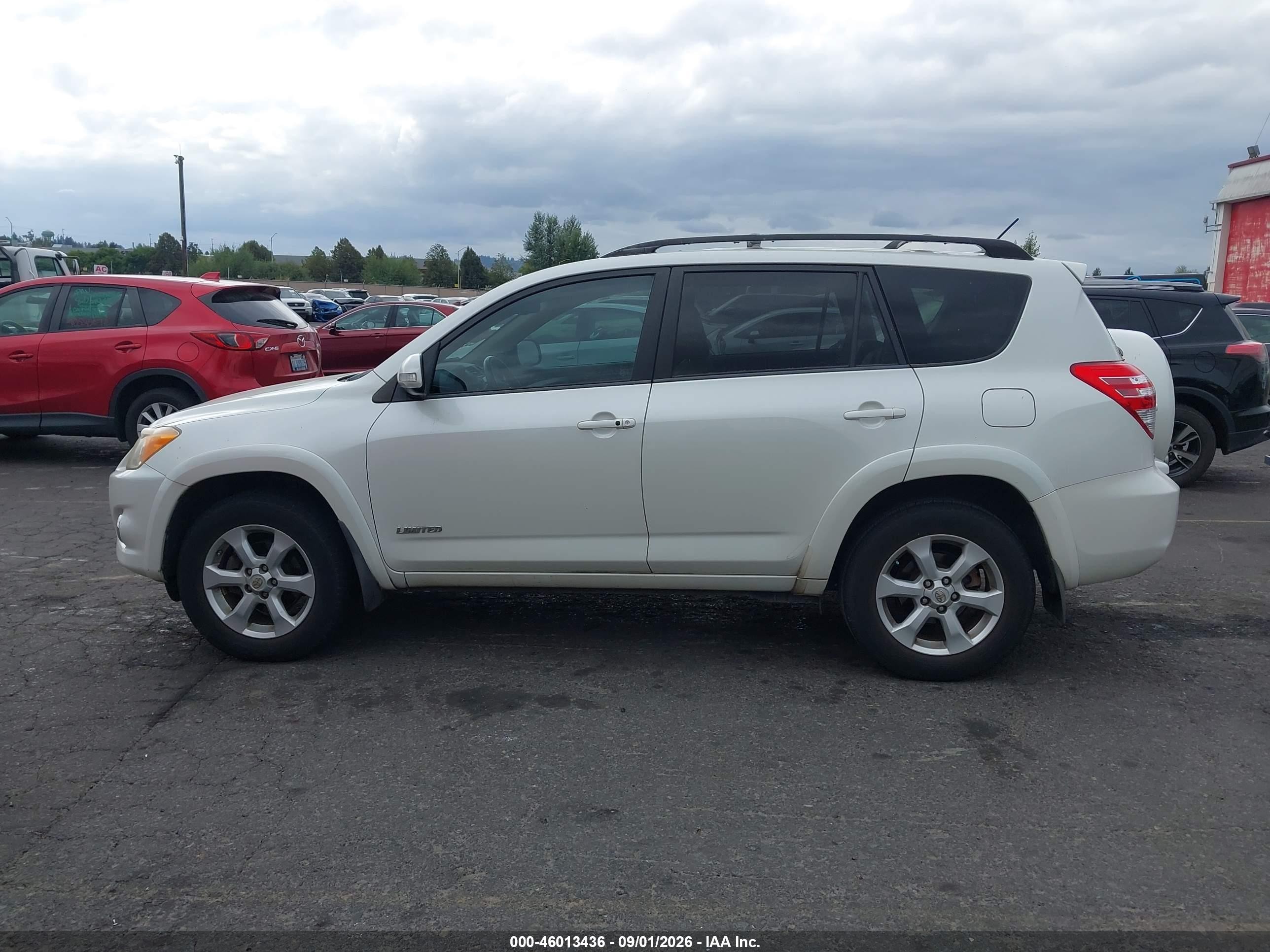 2009 Toyota Rav4 Limited V6 White vin: JTMBK31V895073695