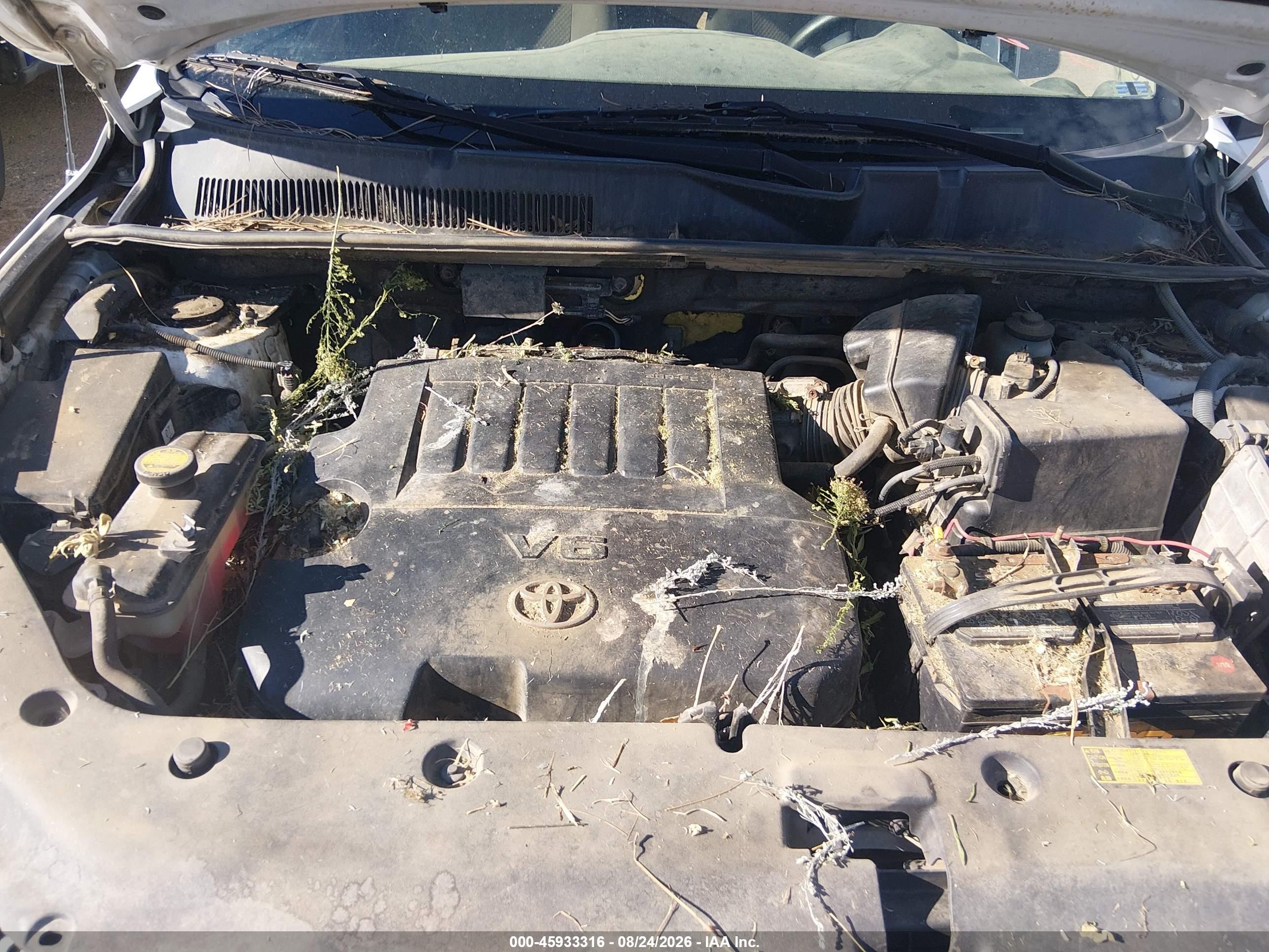 2006 Toyota Rav4 Base V6 Белый vin: JTMBK33V466006983