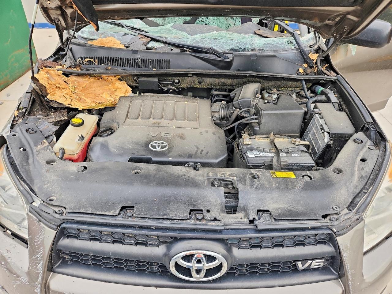 2010 Toyota Rav4 Base Gold vin: JTMBK4DV9AD012738