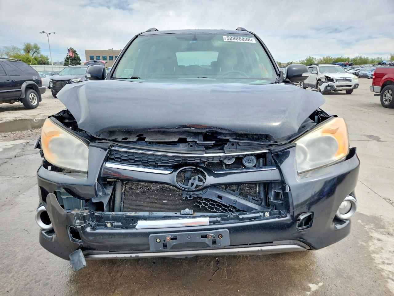 2010 Toyota Rav4 Limited Black vin: JTMDK4DV3AD011464
