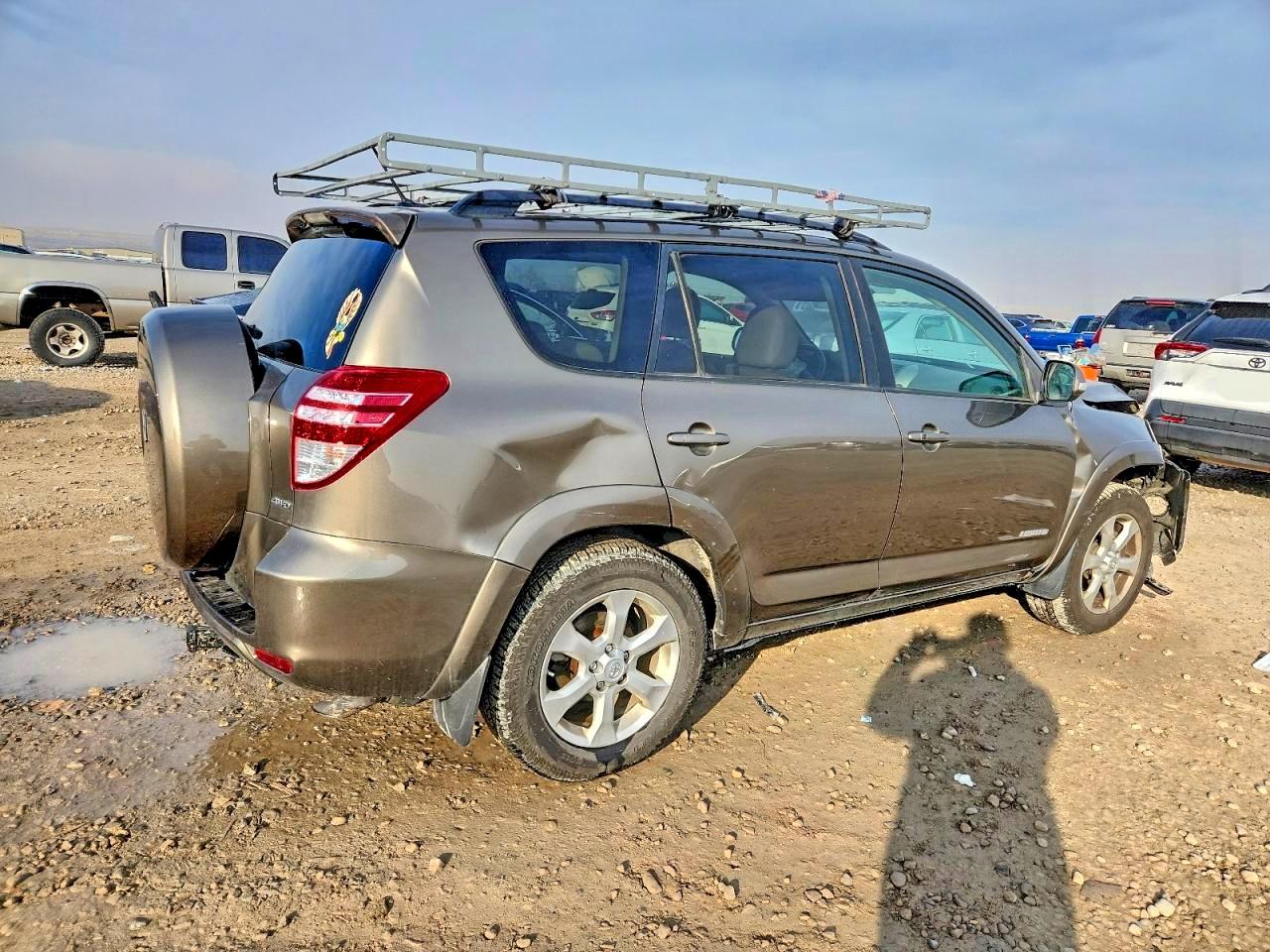 2010 Toyota Rav4 Limited Gold vin: JTMDK4DV5AD010350