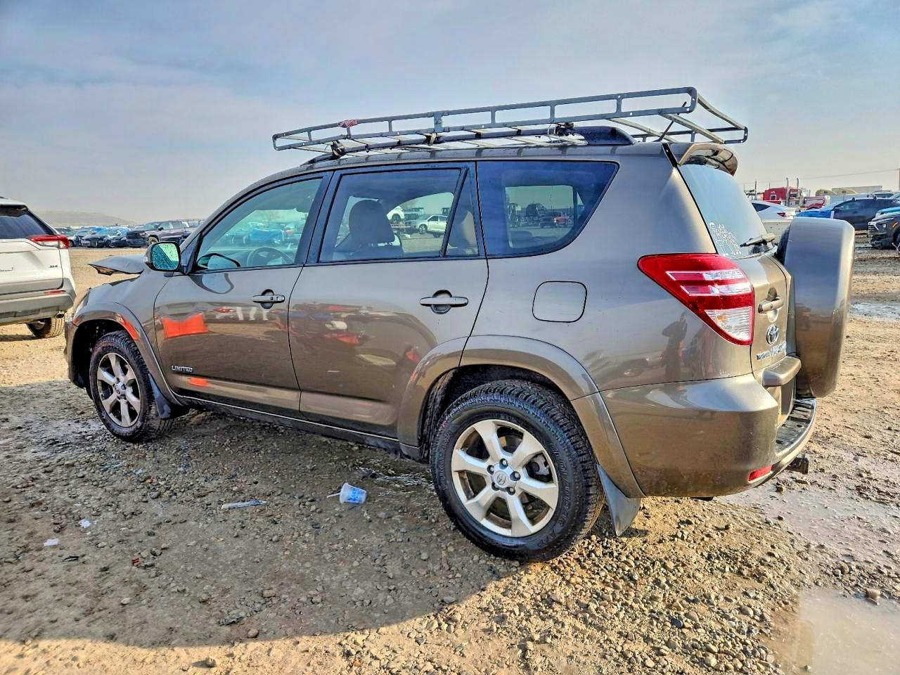 2010 Toyota Rav4 Limited Gold vin: JTMDK4DV5AD010350