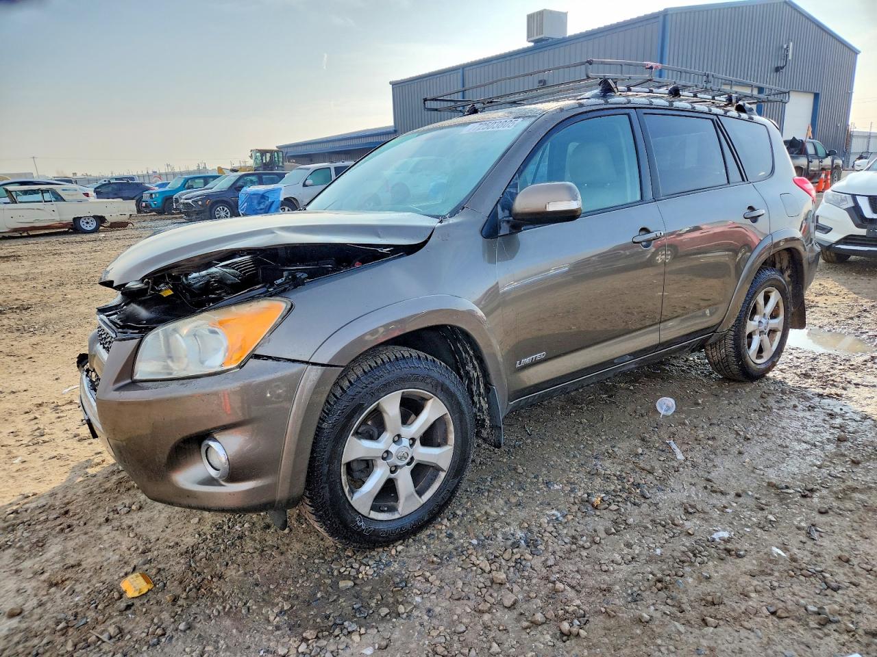 2010 Toyota Rav4 Limited Gold vin: JTMDK4DV5AD010350