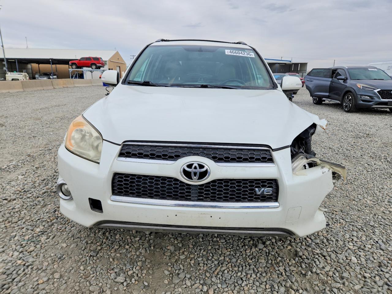 2010 Toyota Rav4 Limited White vin: JTMDK4DV8A5087000