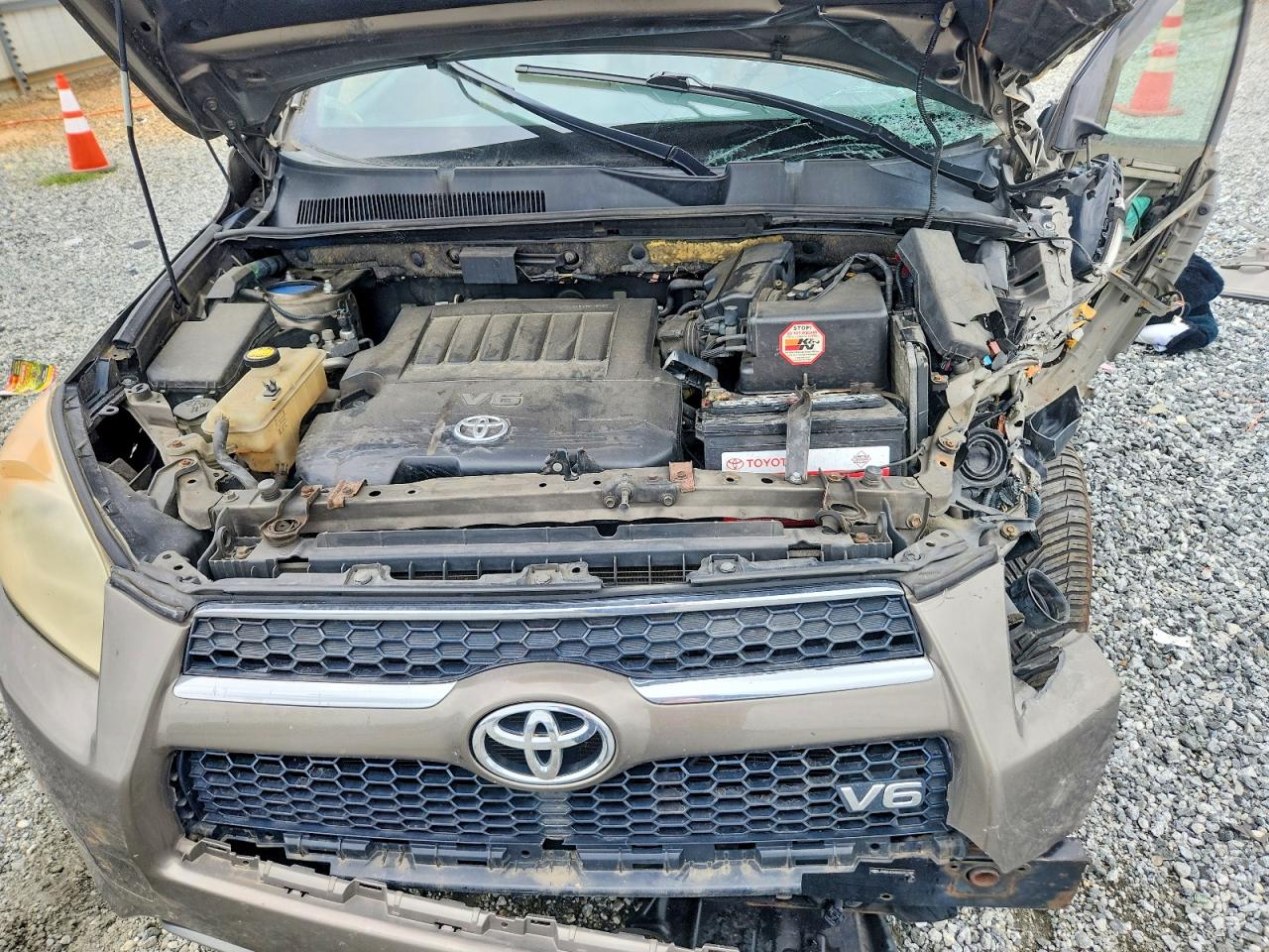 2010 Toyota Rav4 Limited Tan vin: JTMDK4DV8A5091158