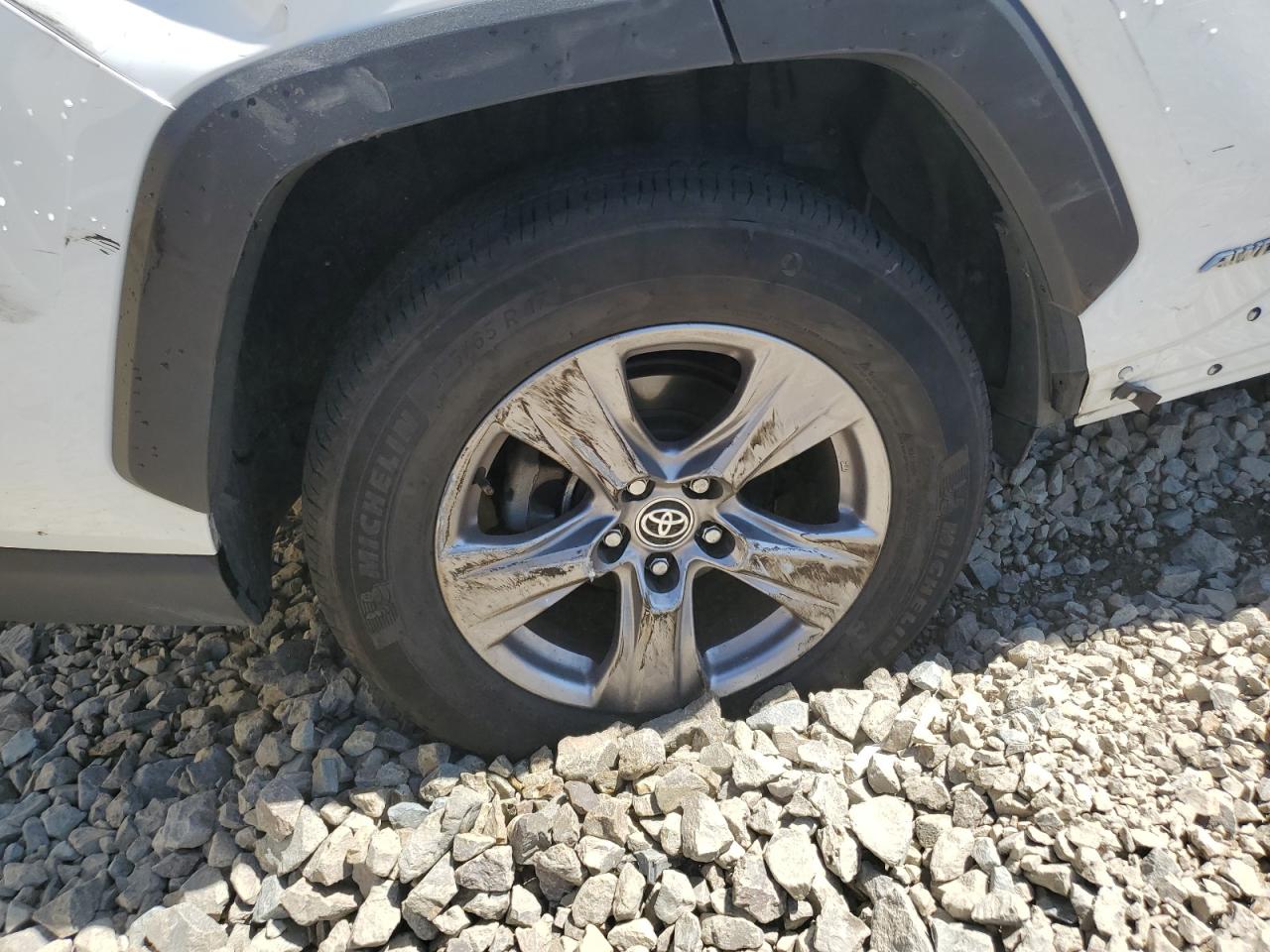 2024 Toyota Rav4 Le White vin: JTMMWRFV6RD244541 Damage: Right Rear Wheel, Curb Rash, > 12 Inches
