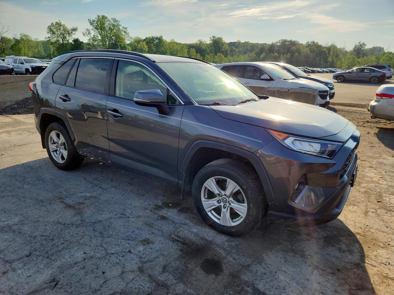 2019 Toyota Rav4 Xle Charcoal vin: JTMP1RFV0KD511996