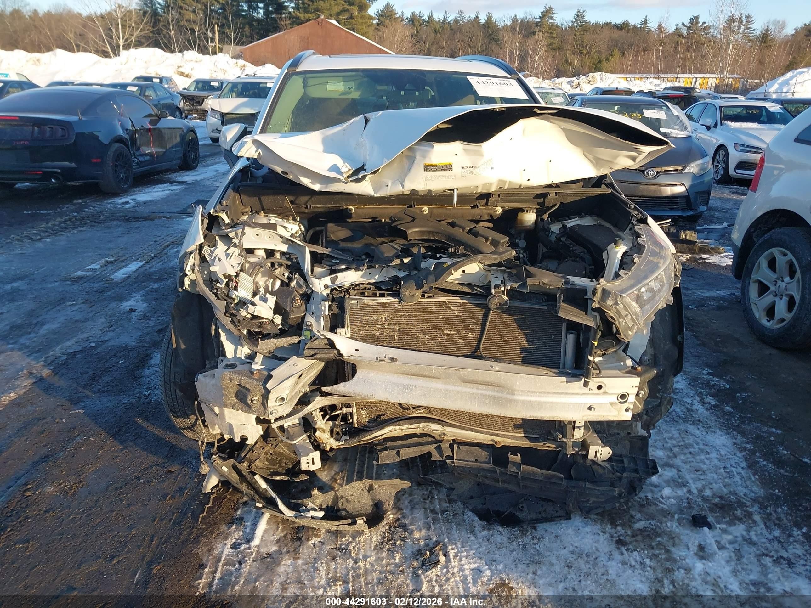 2019 Toyota Rav4 Xle White vin: JTMP1RFV6KD028772