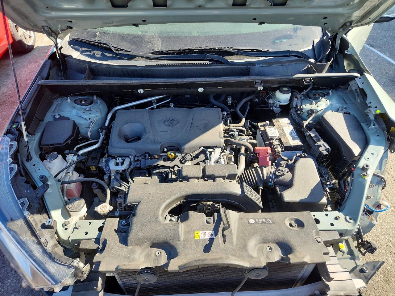 2019 Toyota Rav4 Xle Green vin: JTMP1RFV7KD046102