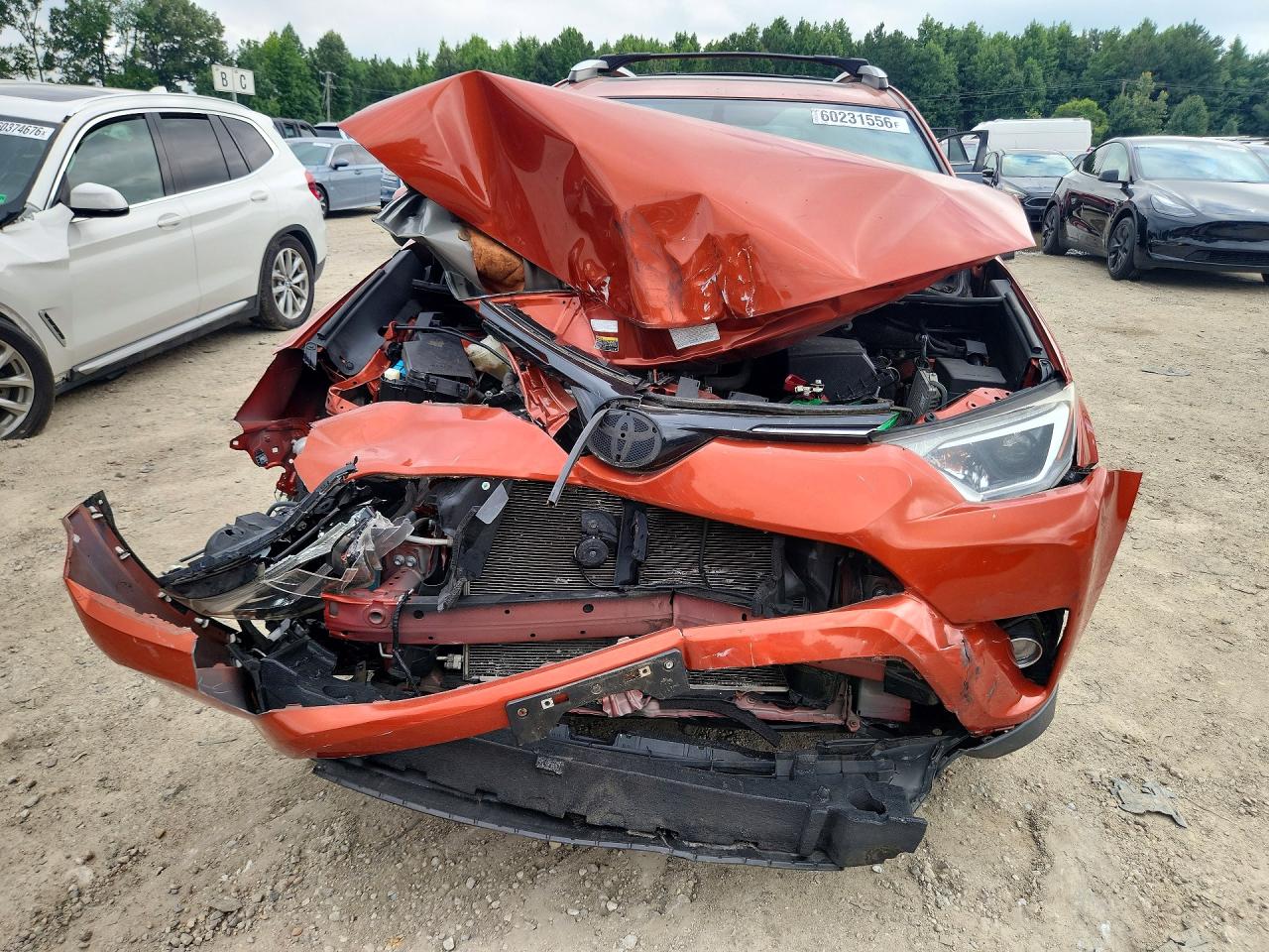 2016 Toyota Rav4 Xle Orange vin: JTMRFREV0GJ066518