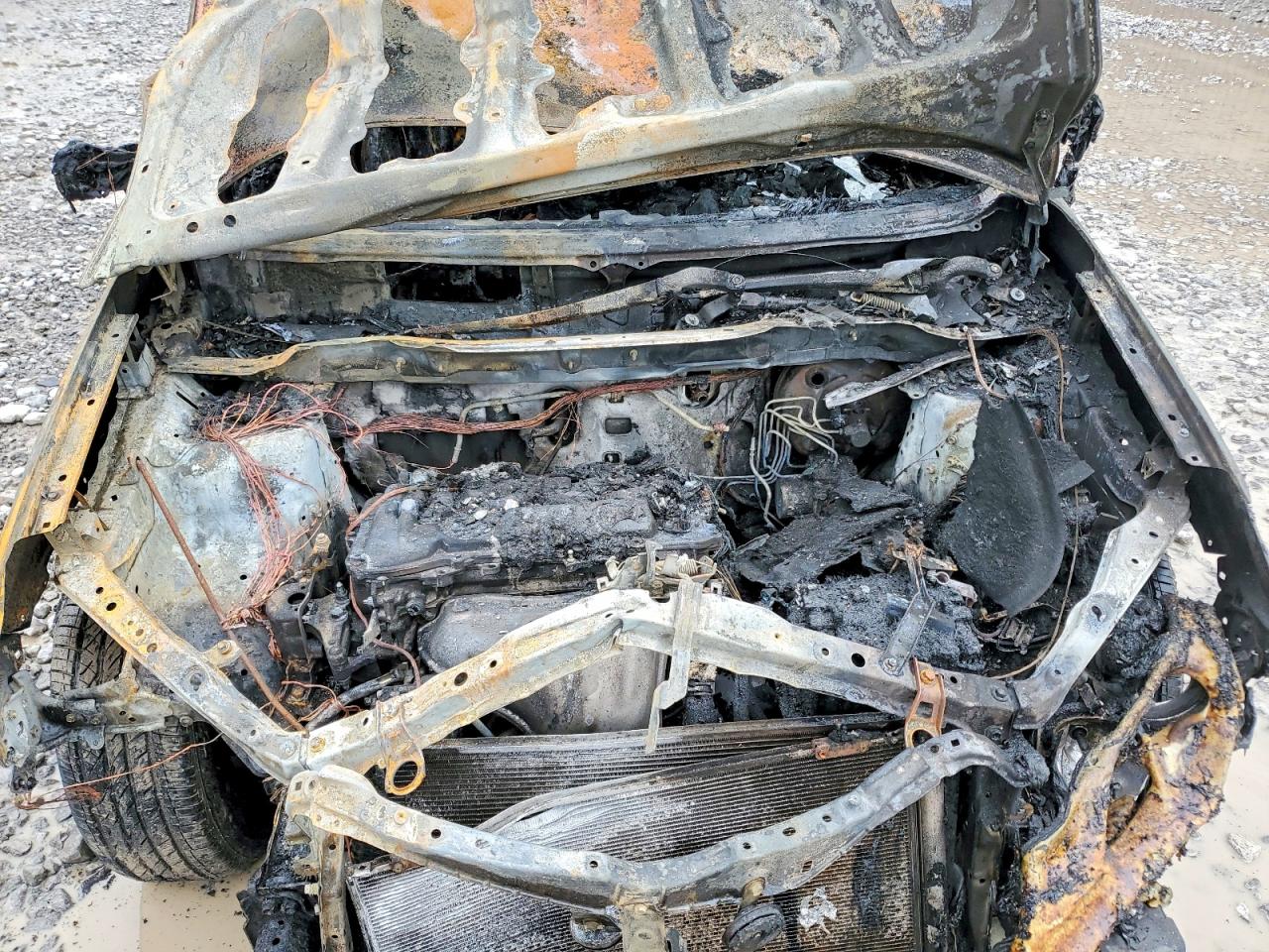 2015 Toyota Rav4 Xle Burn vin: JTMRFREV9FD157297