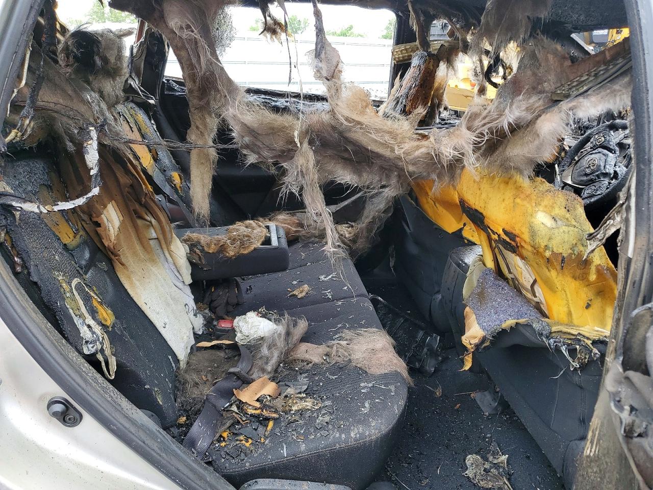 2015 Toyota Rav4 Xle Burn vin: JTMRFREV9FD157297