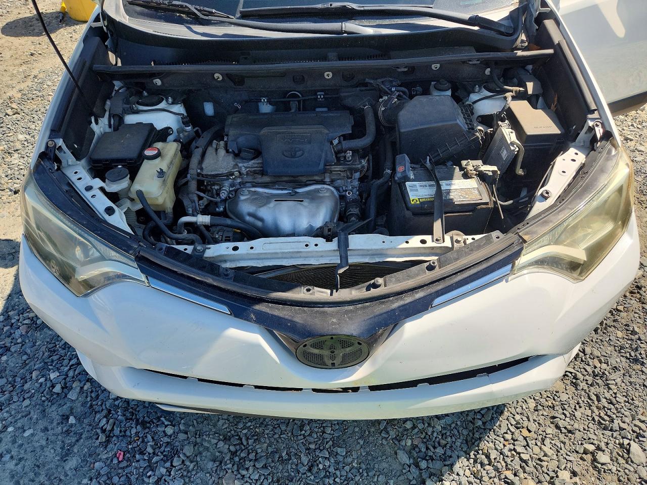 2016 Toyota Rav4 Xle White vin: JTMWFREV4GD084120