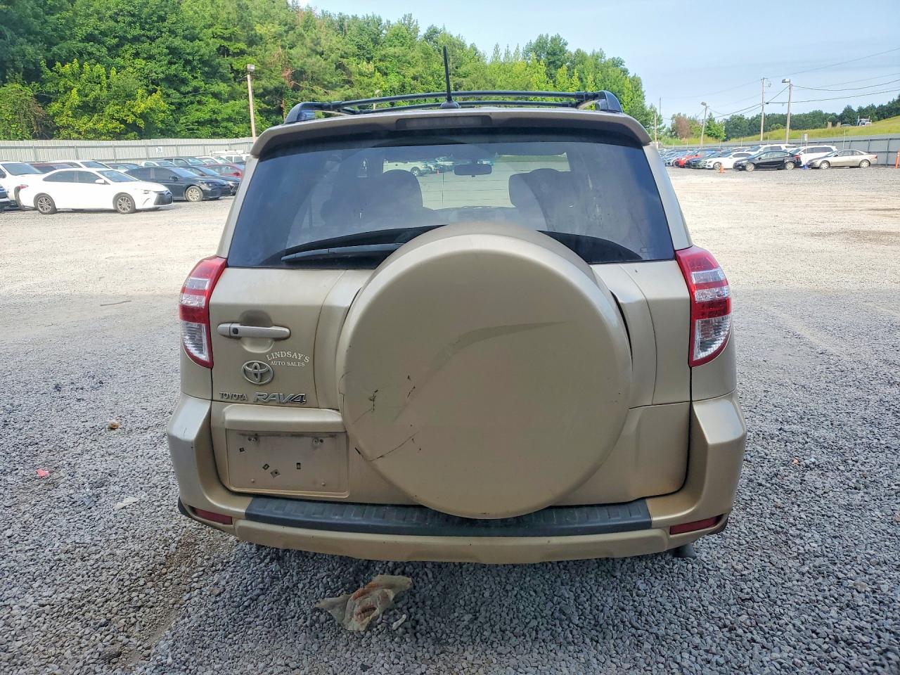 2010 Toyota Rav4 Limited Beige vin: JTMYF4DV8A5029913