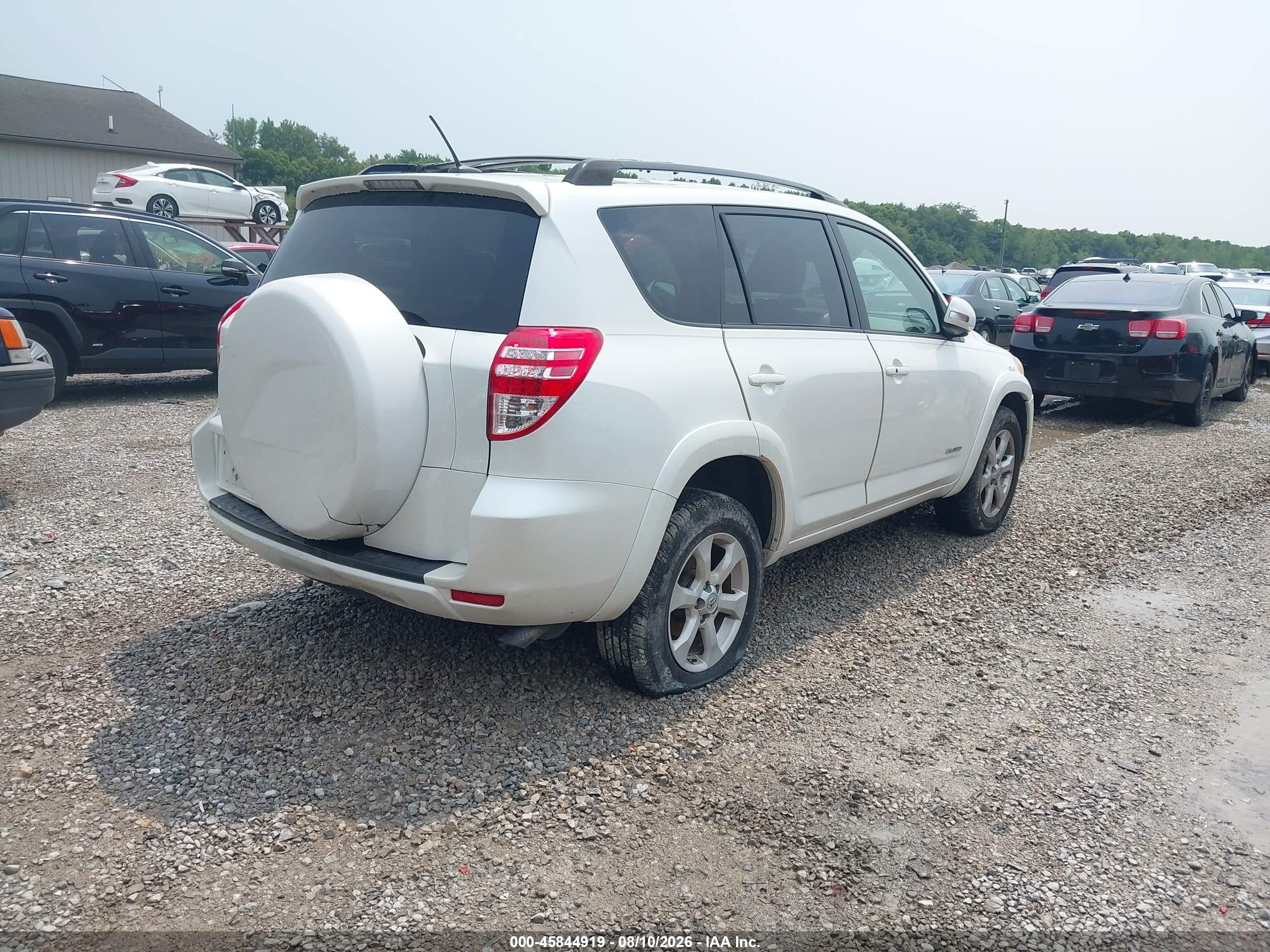 2010 Toyota Rav4 Limited White vin: JTMYF4DV9A5016135