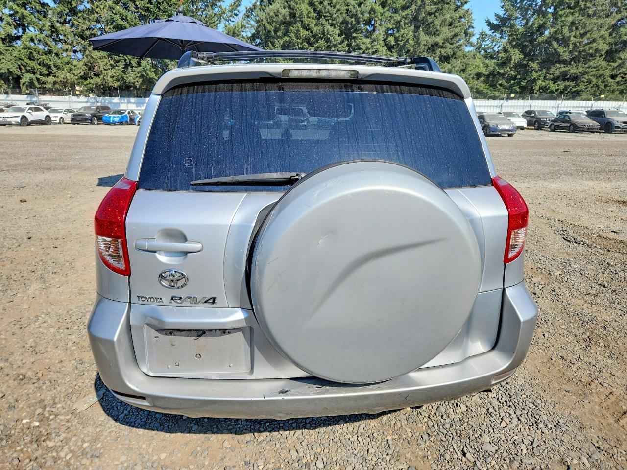 2007 Toyota Rav4 Base Silver vin: JTMZD33V176050840
