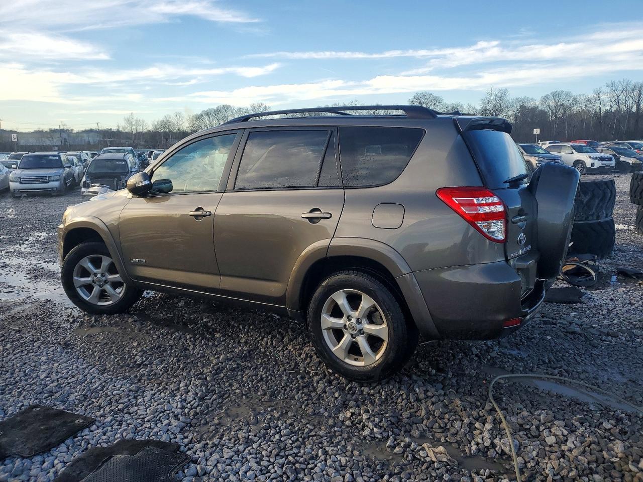 2009 Toyota Rav4 Limited Желто-коричневый vin: JTMZF31VX95003005
