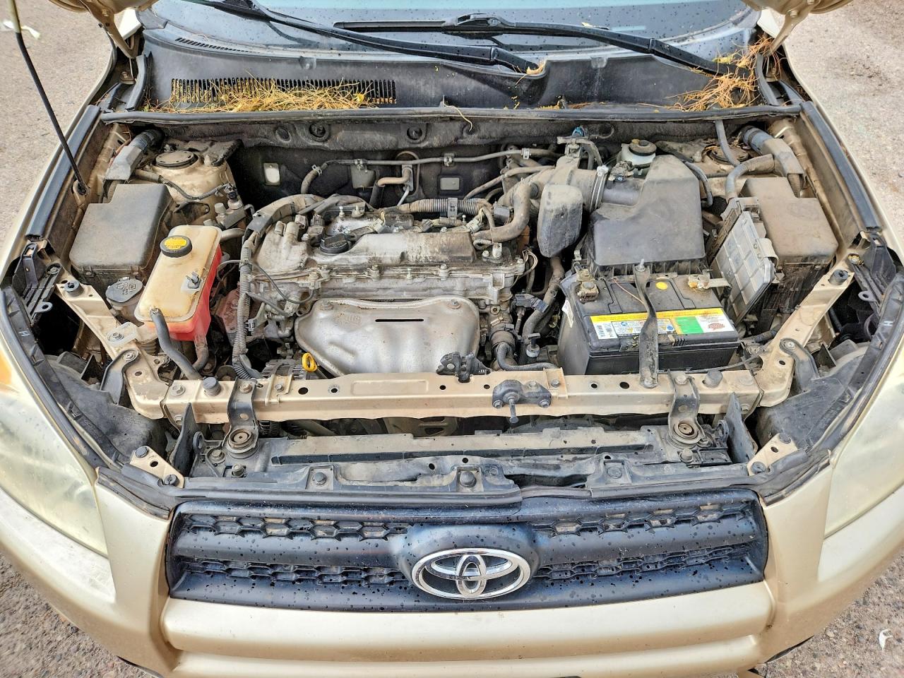 2012 Toyota Rav4 Base Желто-коричневый vin: JTMZF4DV2C5046827