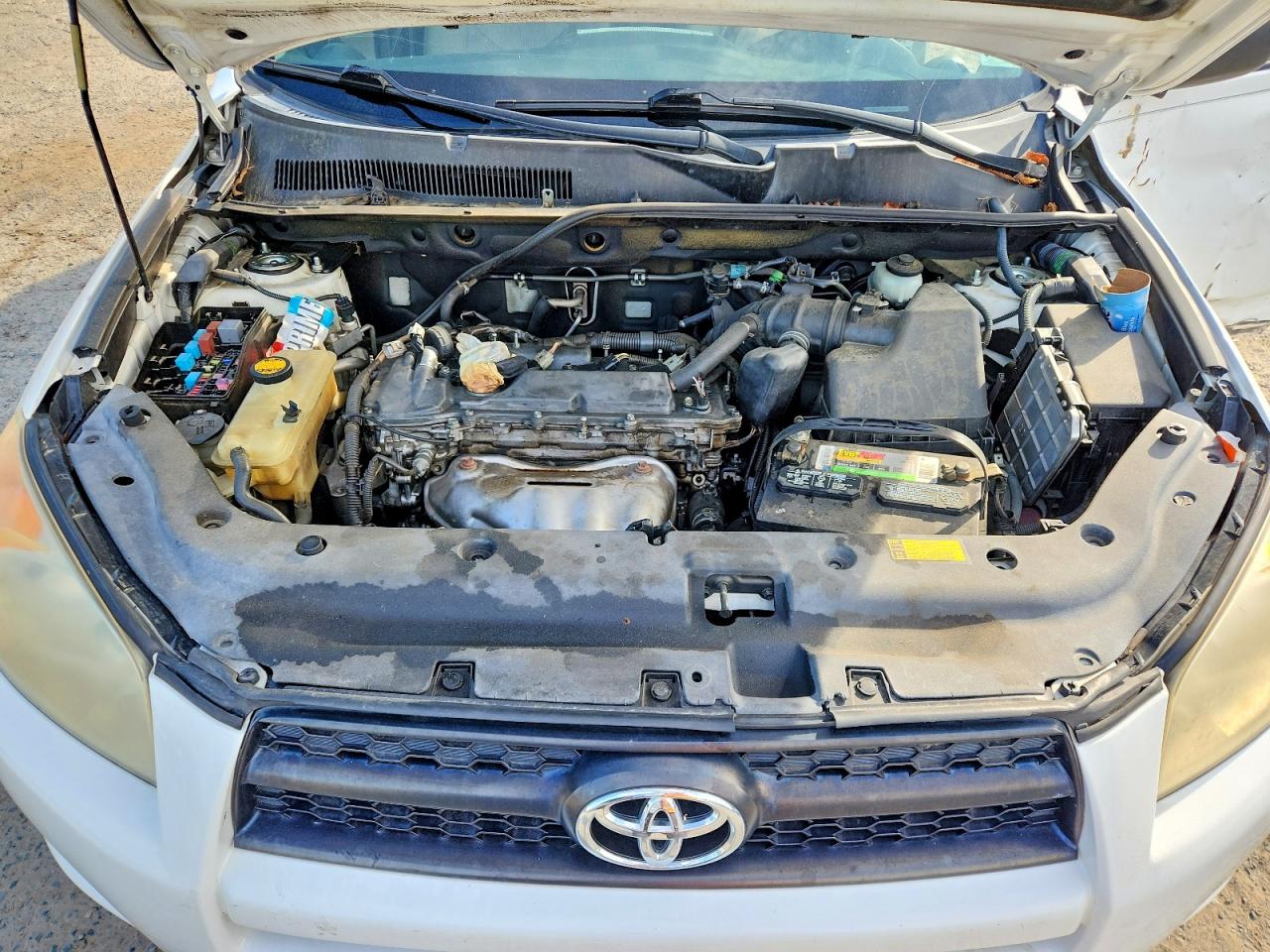 2010 Toyota Rav4 Base White vin: JTMZF4DV6AD017124