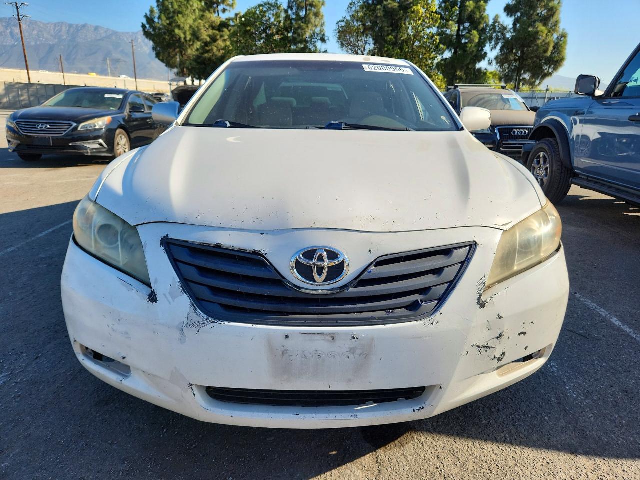 2010 Toyota Camry Le White vin: JTNBF3EK4A3000646