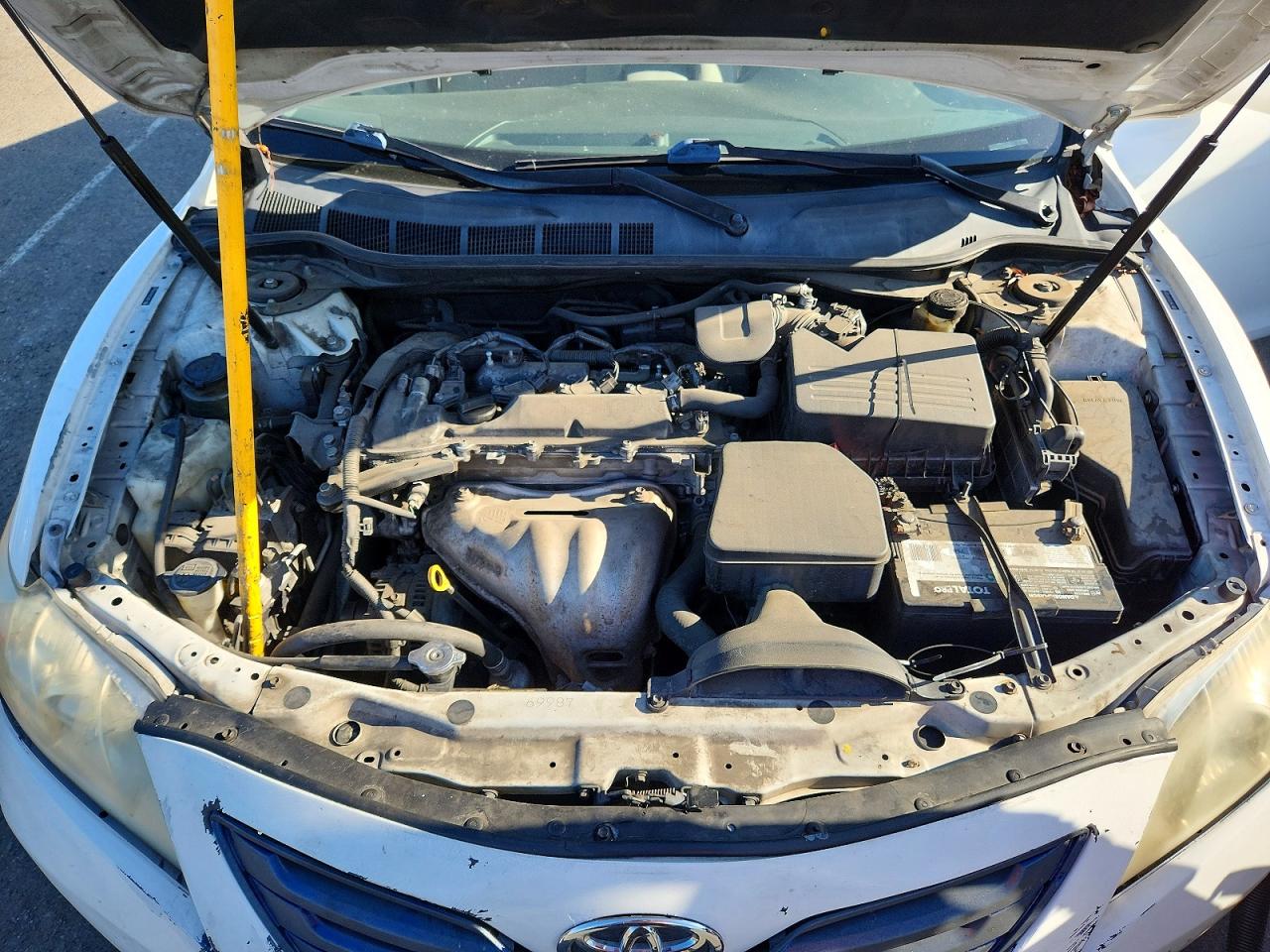 2010 Toyota Camry Le White vin: JTNBF3EK4A3000646