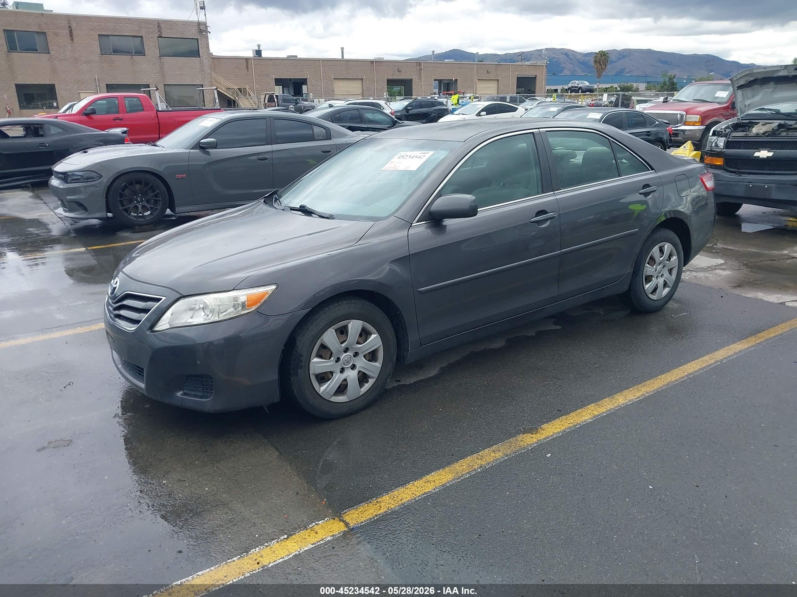 2011 Toyota Camry Le Серый vin: JTNBF3EKXB3010986
