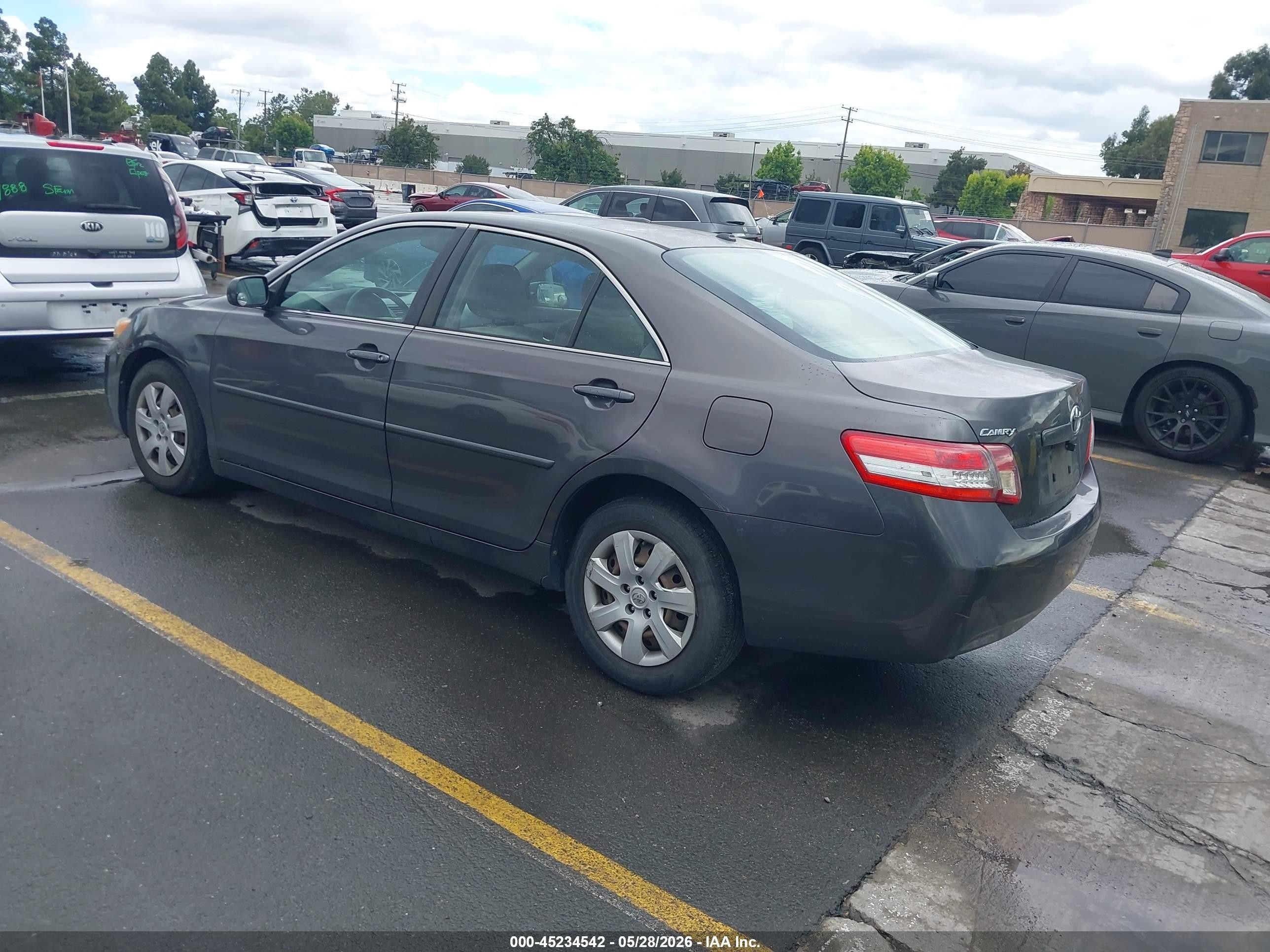 2011 Toyota Camry Le Серый vin: JTNBF3EKXB3010986